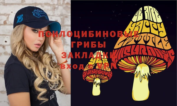 молекула духа Алексеевка