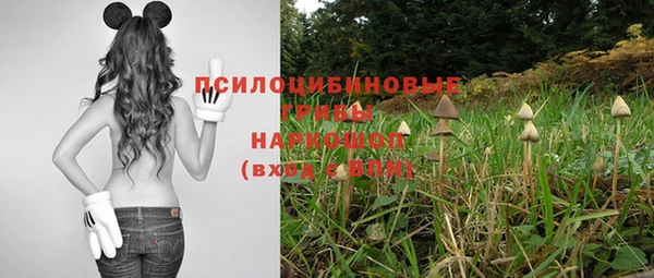 молекула духа Алексеевка