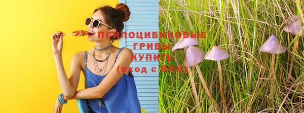 прущая мука Алексин