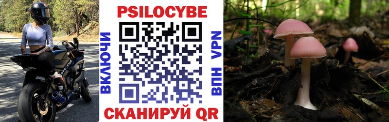 hydra как зайти  Дмитриев  Галлюциногенные грибы мухоморы 